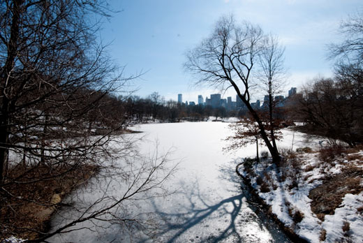 Snow in Central Park New York City