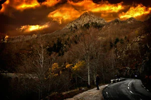 Extending Beyond Your Blog: Stop The Fear Of The Real World