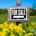 Tearing Down The Fear Of Selling Physical Products: The Art Of The Pre-Sale