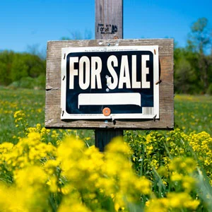 Tearing Down The Fear Of Selling Physical Products: The Art Of The Pre-Sale