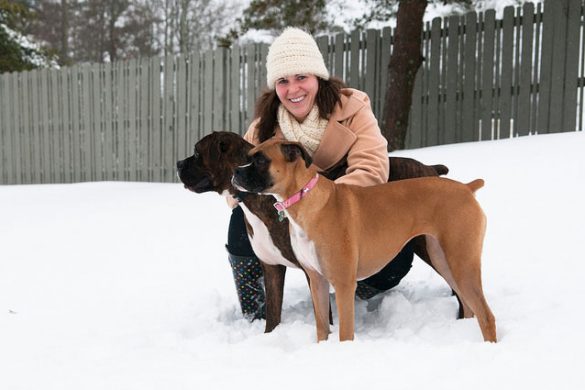 Snow Walk With The Dogs
