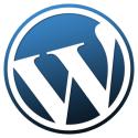 10 Things You Need To Know About WordPress