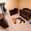 Nesting: From The Mind Of A To Be Dad