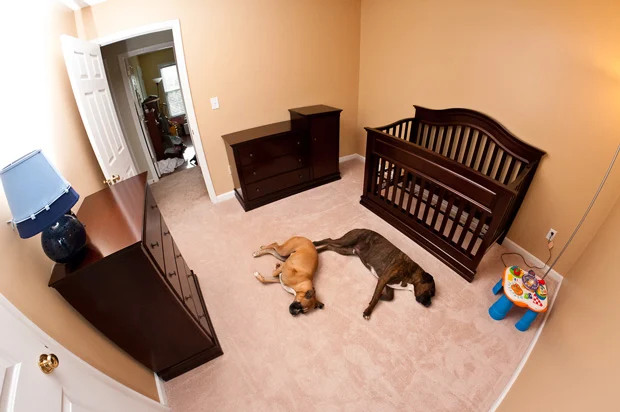 Nesting: From The Mind Of A To Be Dad