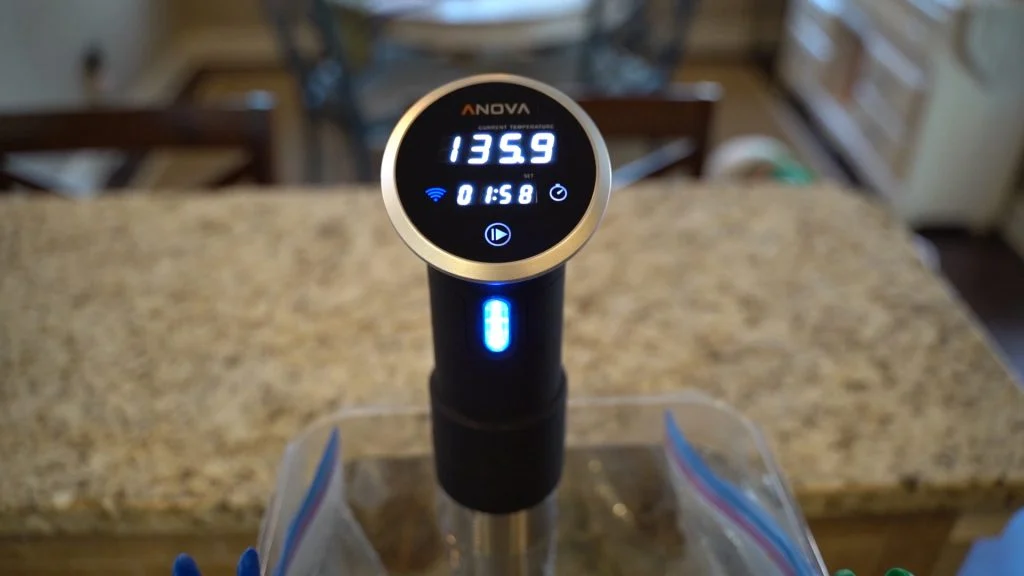 Anova Precision Cooker Review - Sous Vide