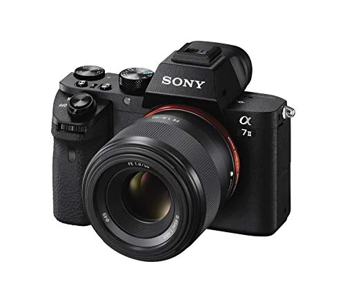 Sony FE 50mm F1.8 Review: Affordable Prime Lens for Stunning Portraits