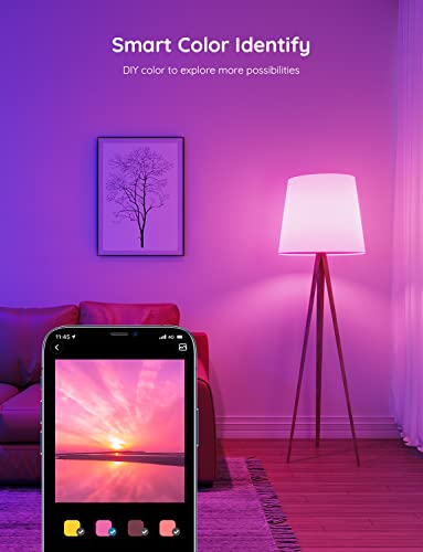 Govee Smart Light Bulbs Review: Transform Your Space with 16 Million Colors