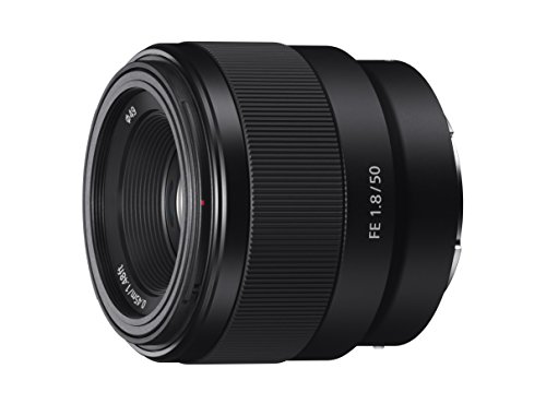 Sony FE 50mm F1.8 Review: Affordable Prime Lens for Stunning Portraits