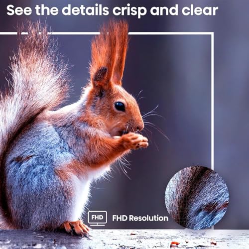 Hisense 40A4NR Review: Affordable FHD Roku TV with Alexa & Google Assistant