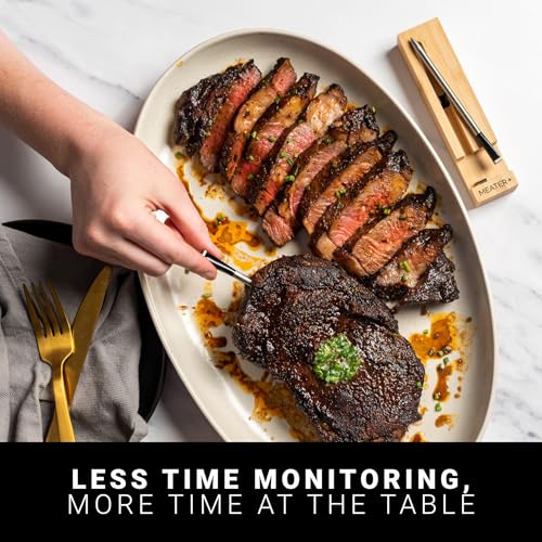 MEATER Plus Review: The Ultimate Wireless Meat Thermometer for Perfect BBQs