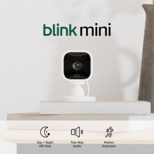 Blink Mini Review: Affordable Smart Security with Alexa Integration