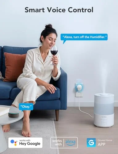 Govee Smart Plug Review: Affordable Alexa-Compatible WiFi Outlet 4-Pack