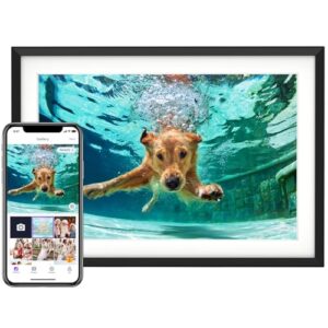 10.1” Digital Picture Frame Review: Stunning Display & Easy Sharing