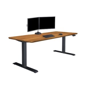 Vari Classic Electric Standing Desk Review: Comfort Meets Functionality