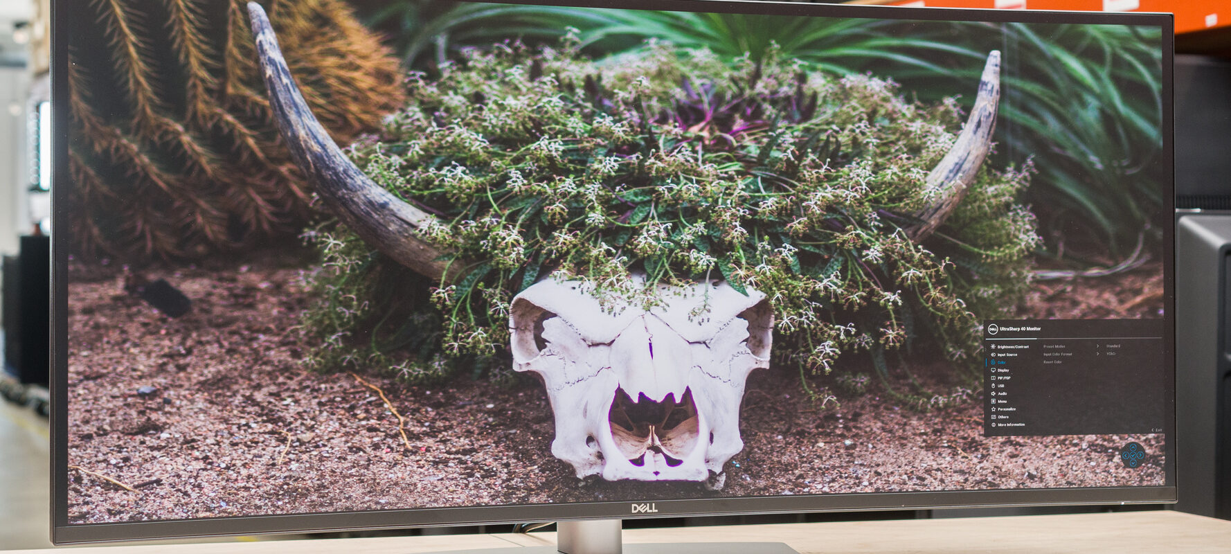 Dell U4025QW Review