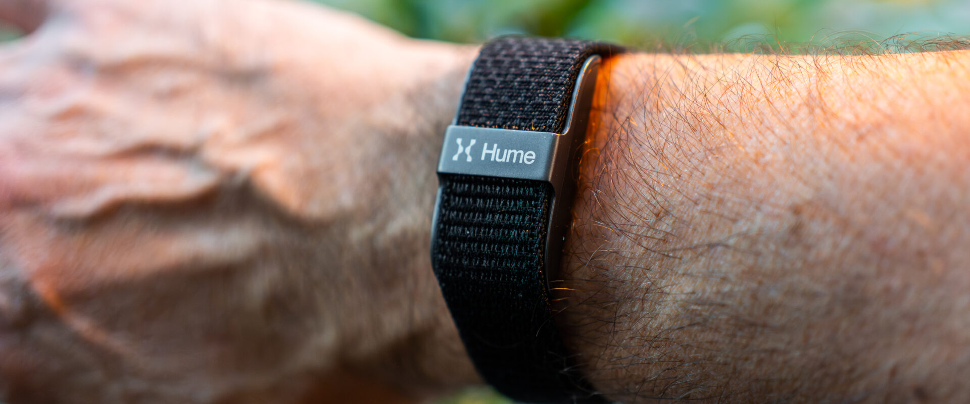 hume band review